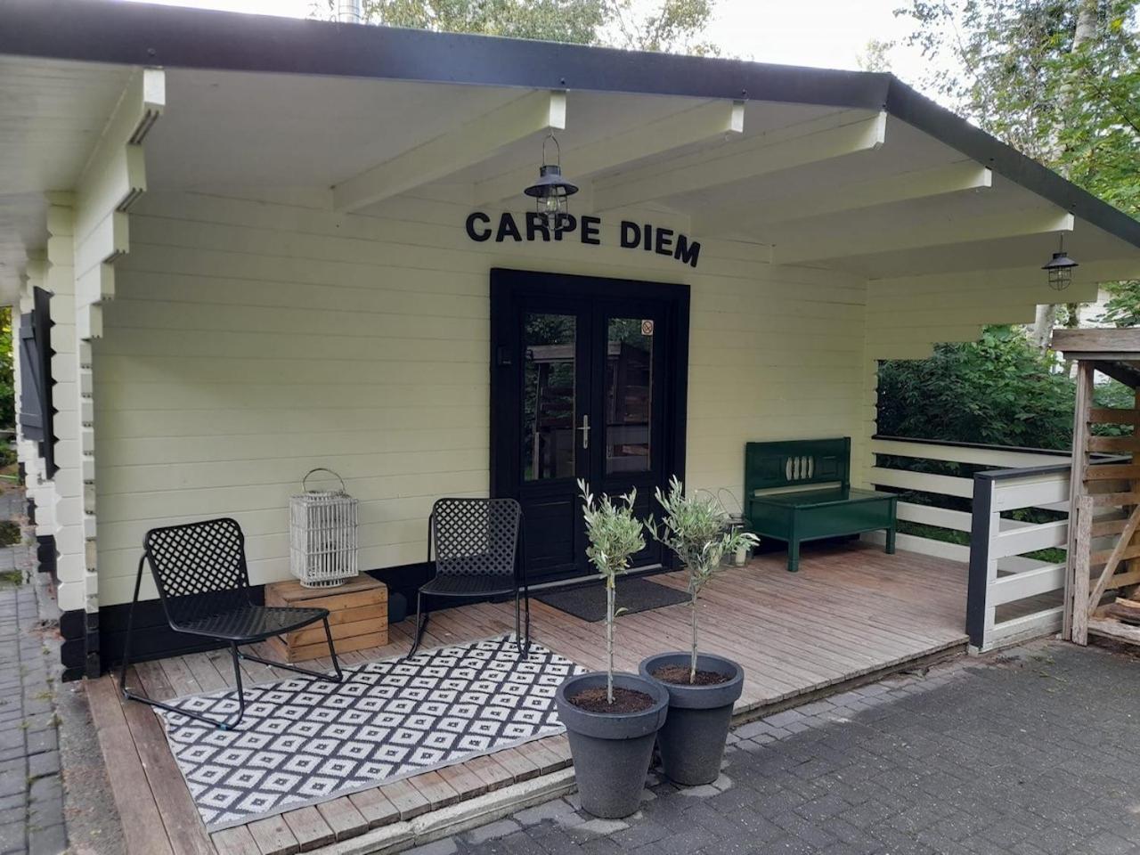 Carpe Diem, Het Ruime Chalet Met Houtkachel Nabij Wildlands Emmen Schoonebeek Экстерьер фото