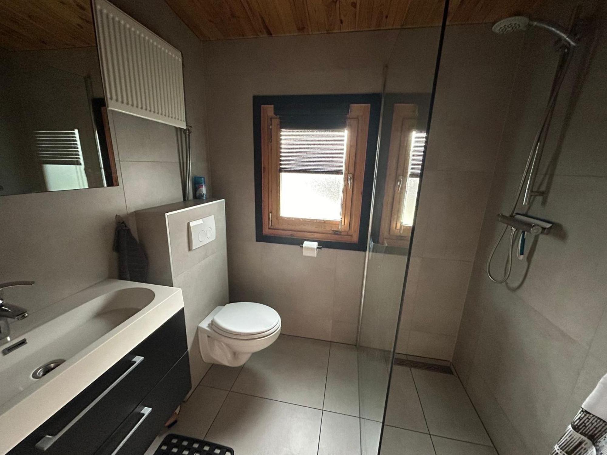 Carpe Diem, Het Ruime Chalet Met Houtkachel Nabij Wildlands Emmen Schoonebeek Экстерьер фото